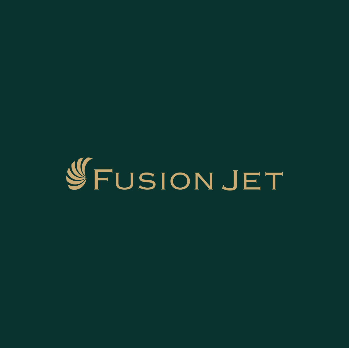 Fusion Jet — detail 2